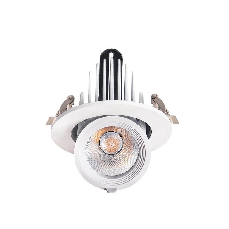 Economic Recessed Tiltable/Zoom Cob Spot Light