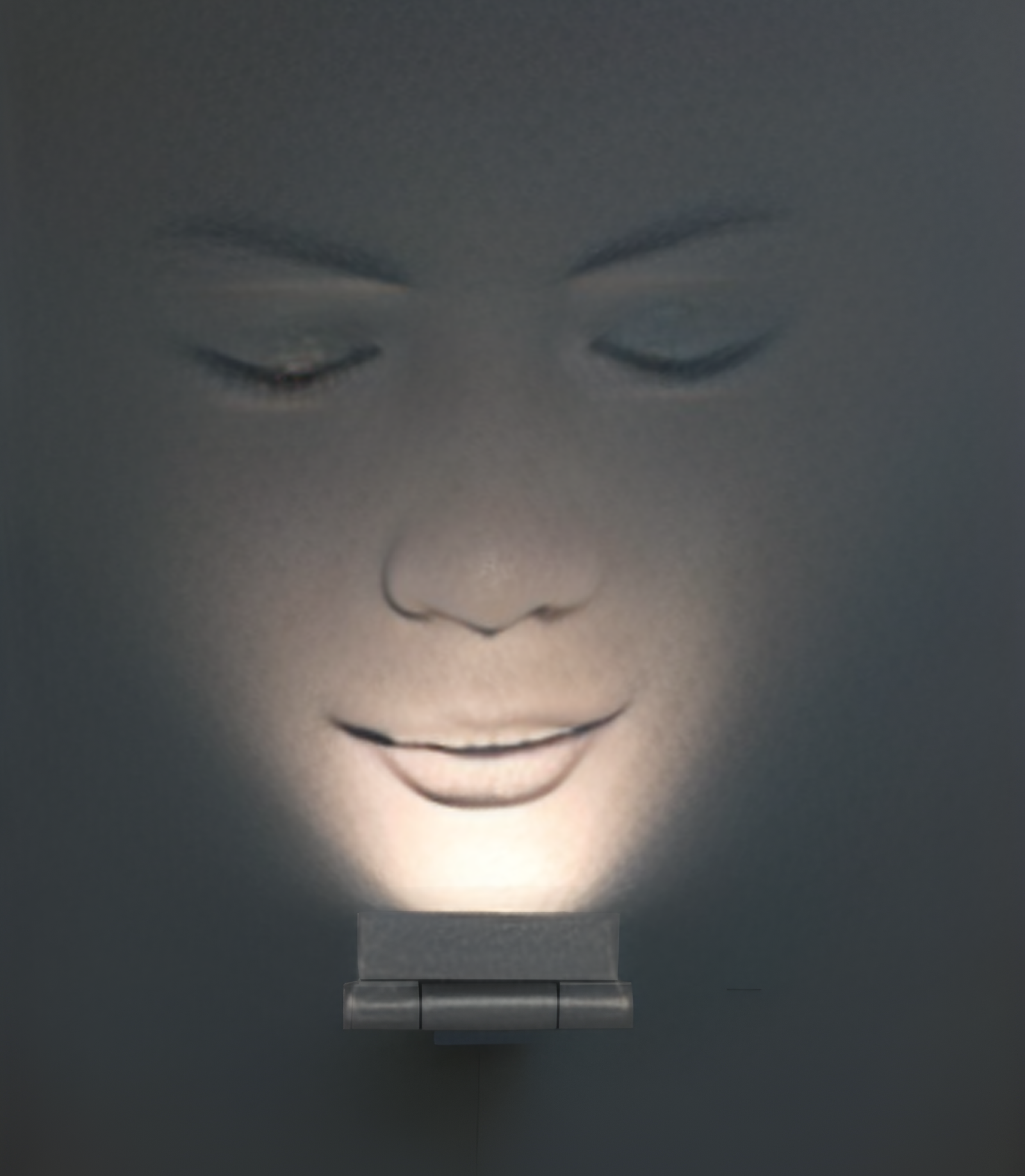 Outdoor Surface Step/Wall Light-use