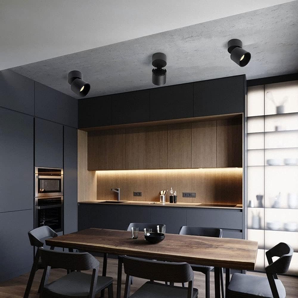 Surface/Track/Recessed Led Spot Light USE